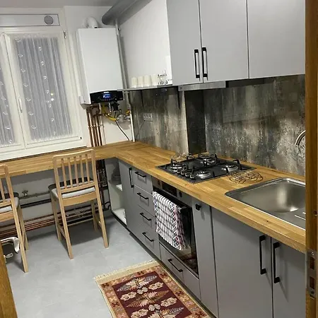 Apartament Ultracentral Botis Sighetu Marmatiei Exterior photo
