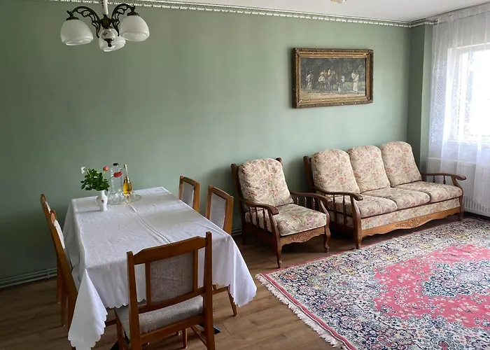 Apartament Ultracentral Botis