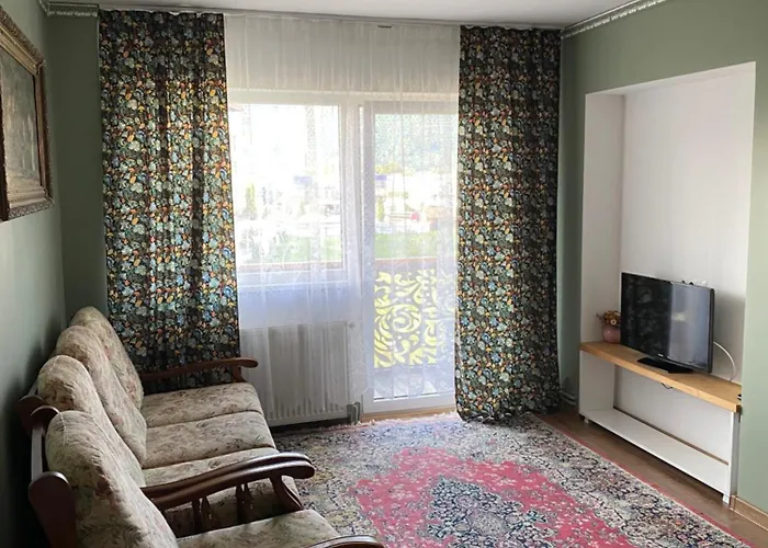 Apartament Ultracentral Botis
