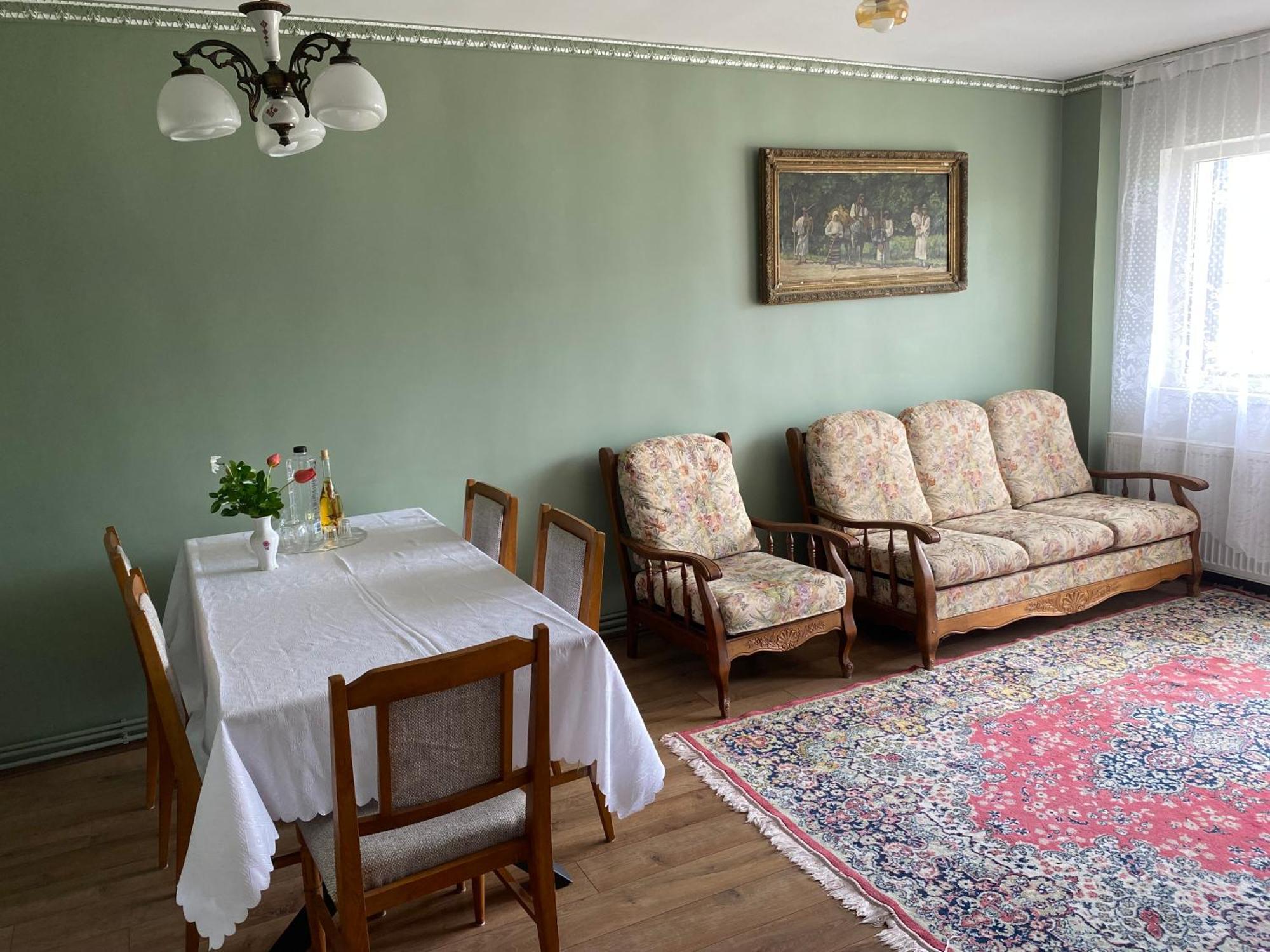 Ultracentral Botis Apartment Sighetu Marmatiei